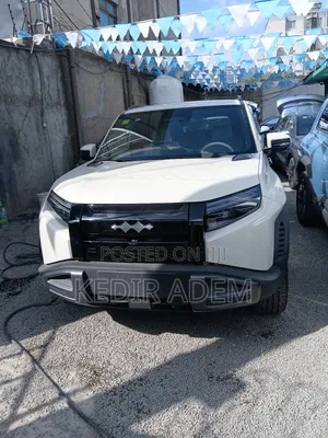 Photo - New BYD Leopard 3 2025 White