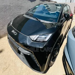 Photo - BYD Seagull 2024 Matt Black