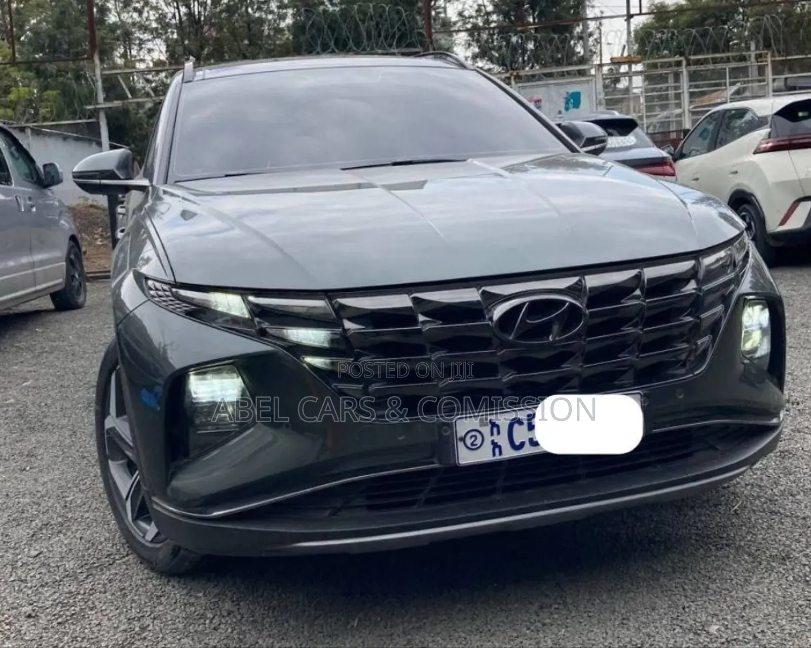 Tucson 2023 for Rent