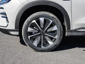 New BYD Song Plus 2025 White