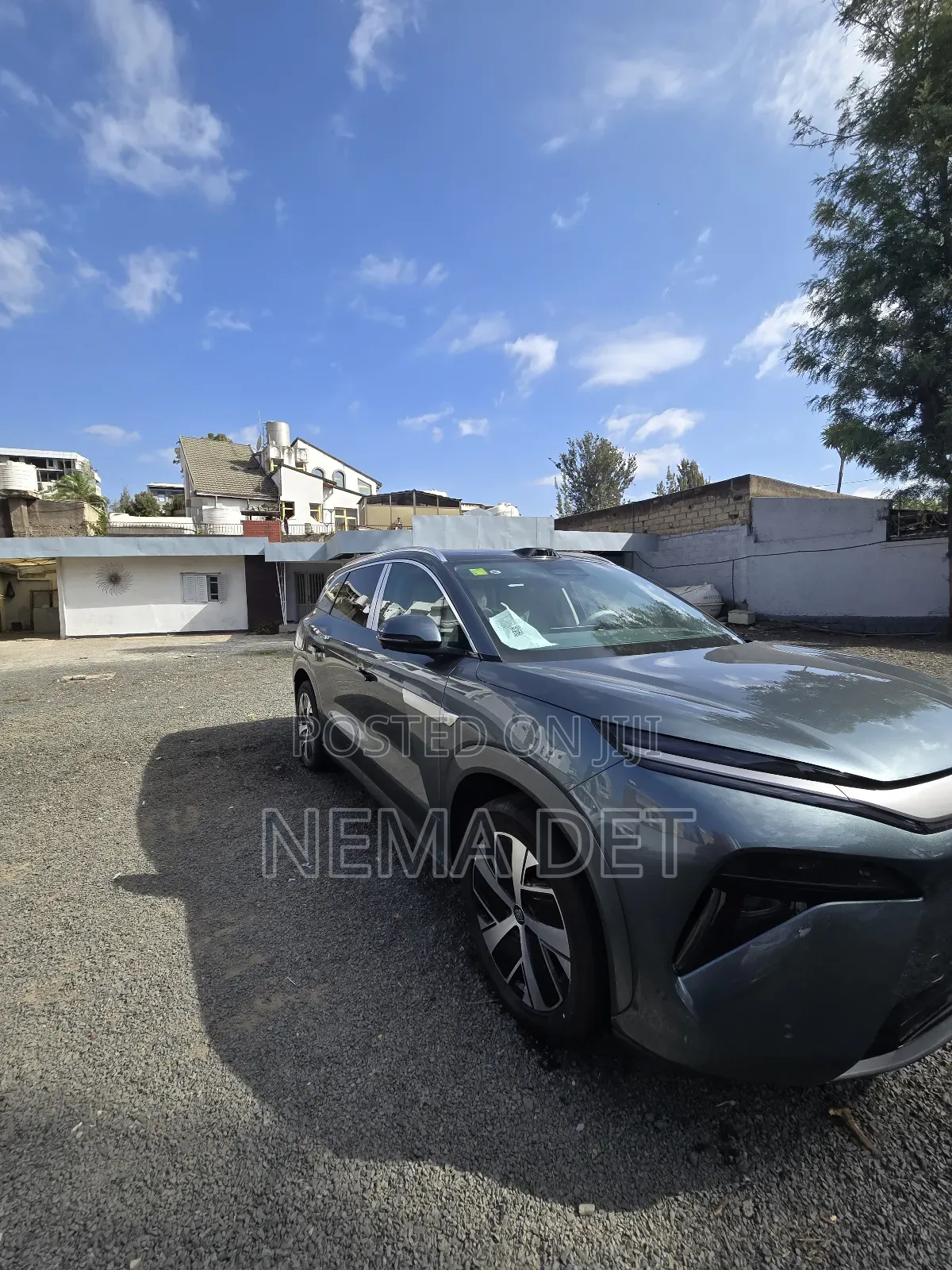 New BYD Tang DM-i 2024 Green