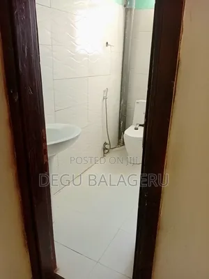 2bdrm Condo in Bole for rent