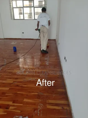 Home Cleaning