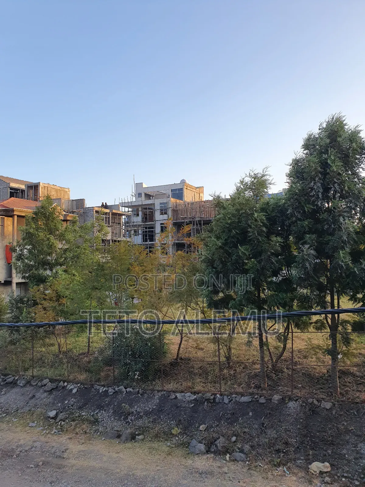 ፀዴ ስትራክቸር አያት 49 ዲያስፖራ ኮንፓውድ