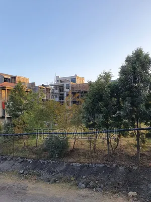 ፀዴ ስትራክቸር አያት 49 ዲያስፖራ ኮንፓውድ