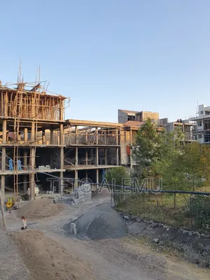 ፀዴ ስትራክቸር አያት 49 ዲያስፖራ ኮንፓውድ