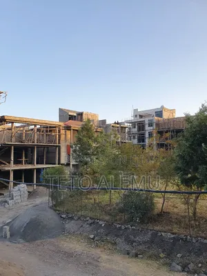 ፀዴ ስትራክቸር አያት 49 ዲያስፖራ ኮንፓውድ