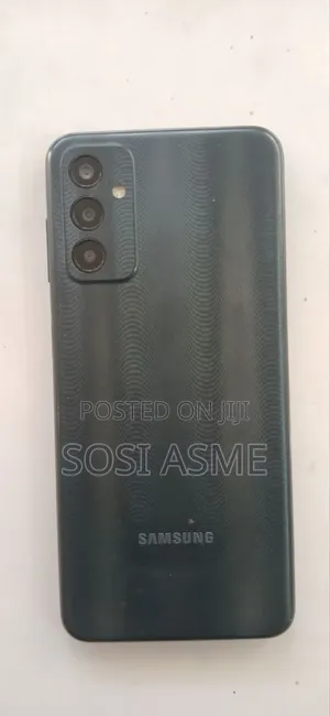 Samsung Galaxy F13 64 GB Gray