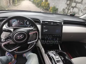 Hyundai Tucson 2021 Gray