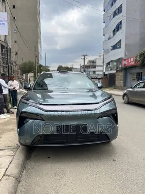 Photo - New BYD Tang EV 2025 Green