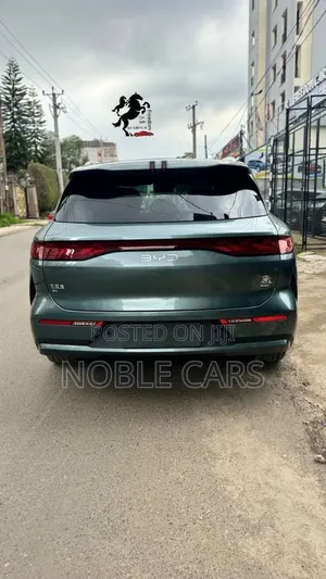 New BYD Tang EV 2025 Green