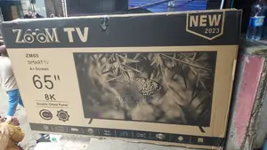 Gsda 65 Inch 6 Series TV