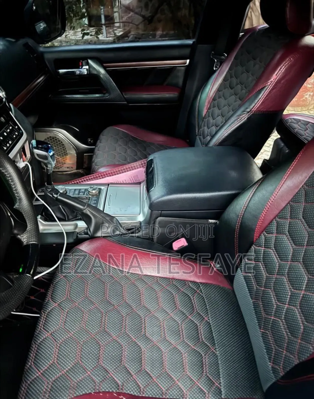 Toyota Land Cruiser 2010 Gray