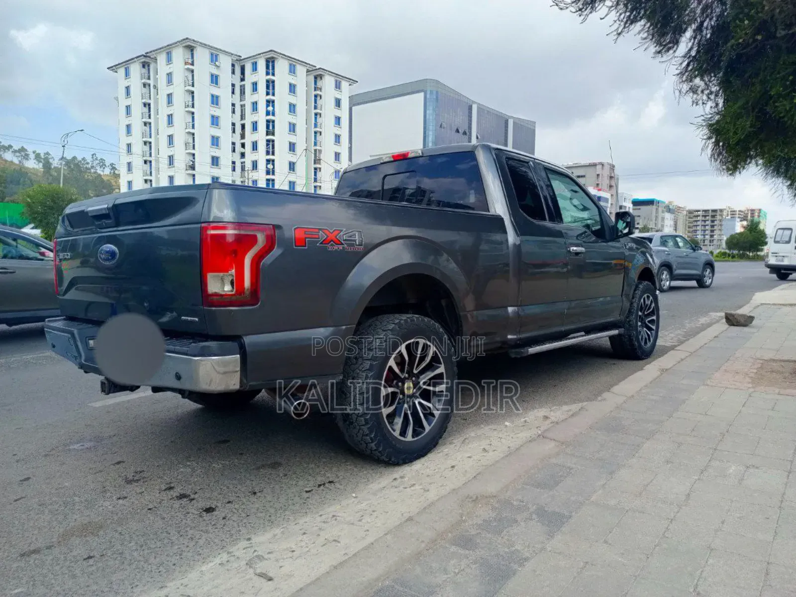 Ford F-150 2015 Gray