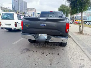 Ford F-150 2015 Gray