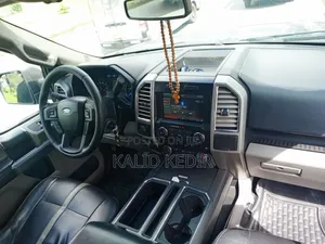 Ford F-150 2015 Gray