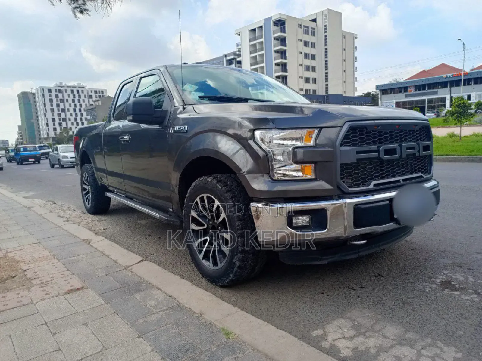 Ford F-150 2015 Gray
