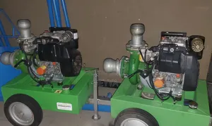 Lombardini Diesel Pump