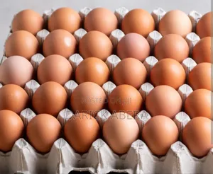 Photo - Eggs እንቁላል