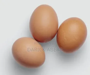 Eggs እንቁላል