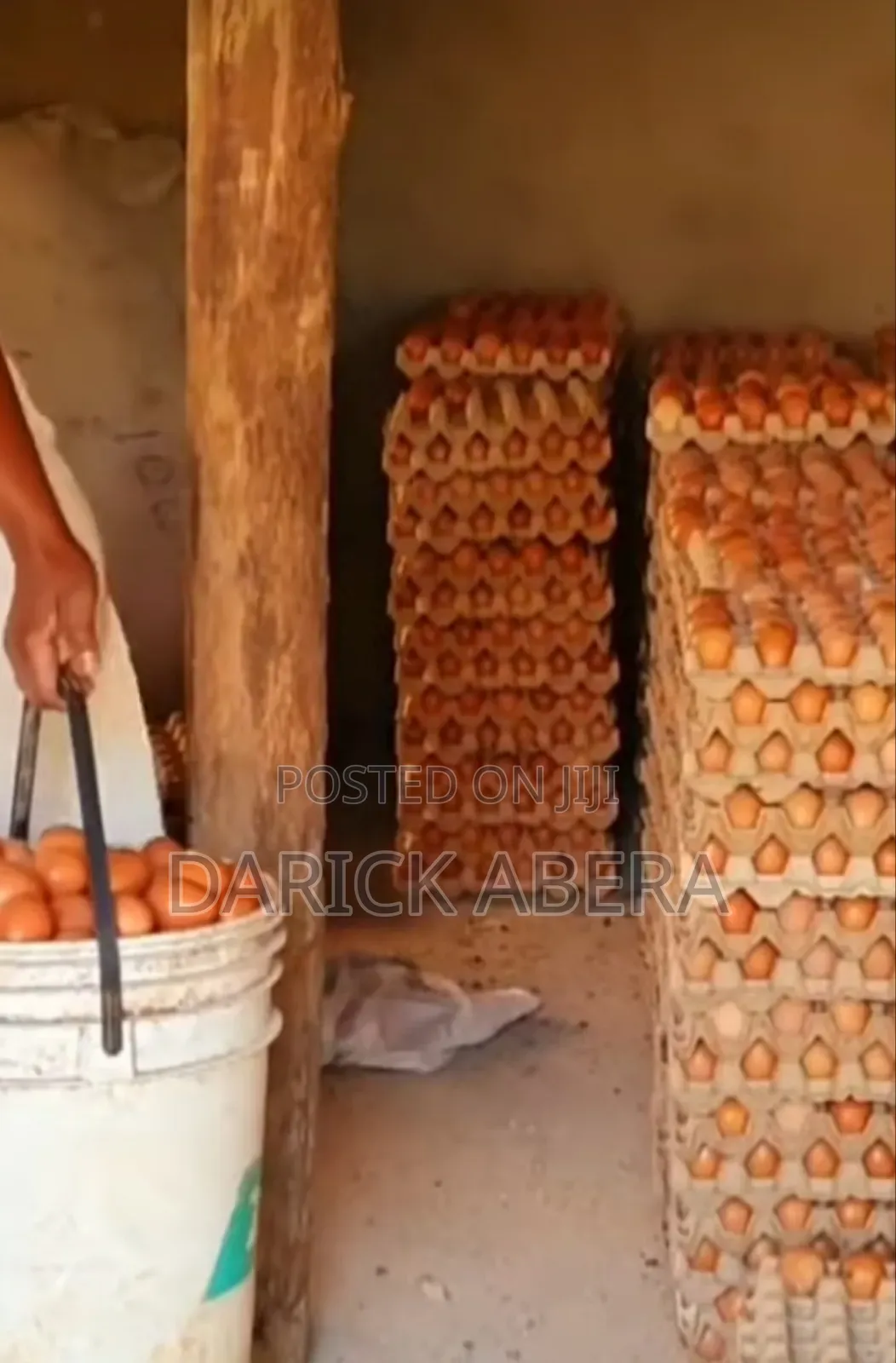 Eggs እንቁላል