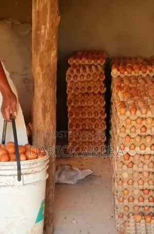 Eggs እንቁላል