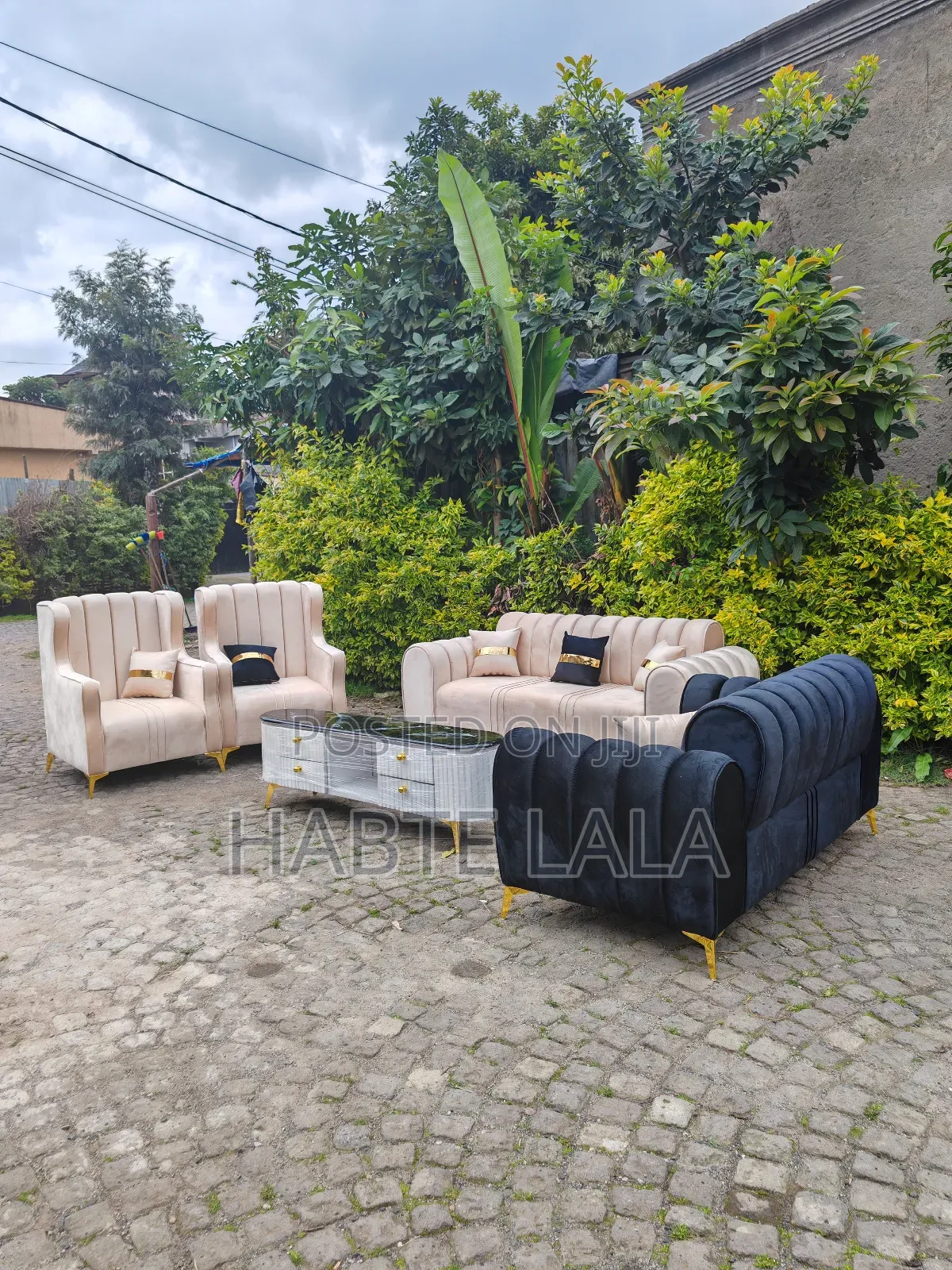 ሶፋ Sofa Alega