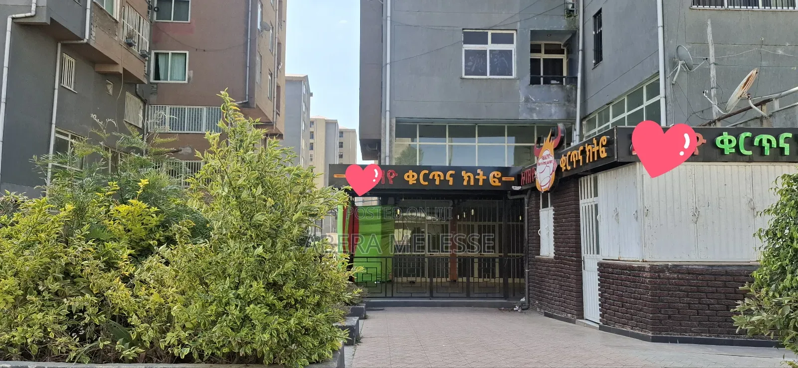 ምርጥ የንግድ ቤት 40/60 አያት 49