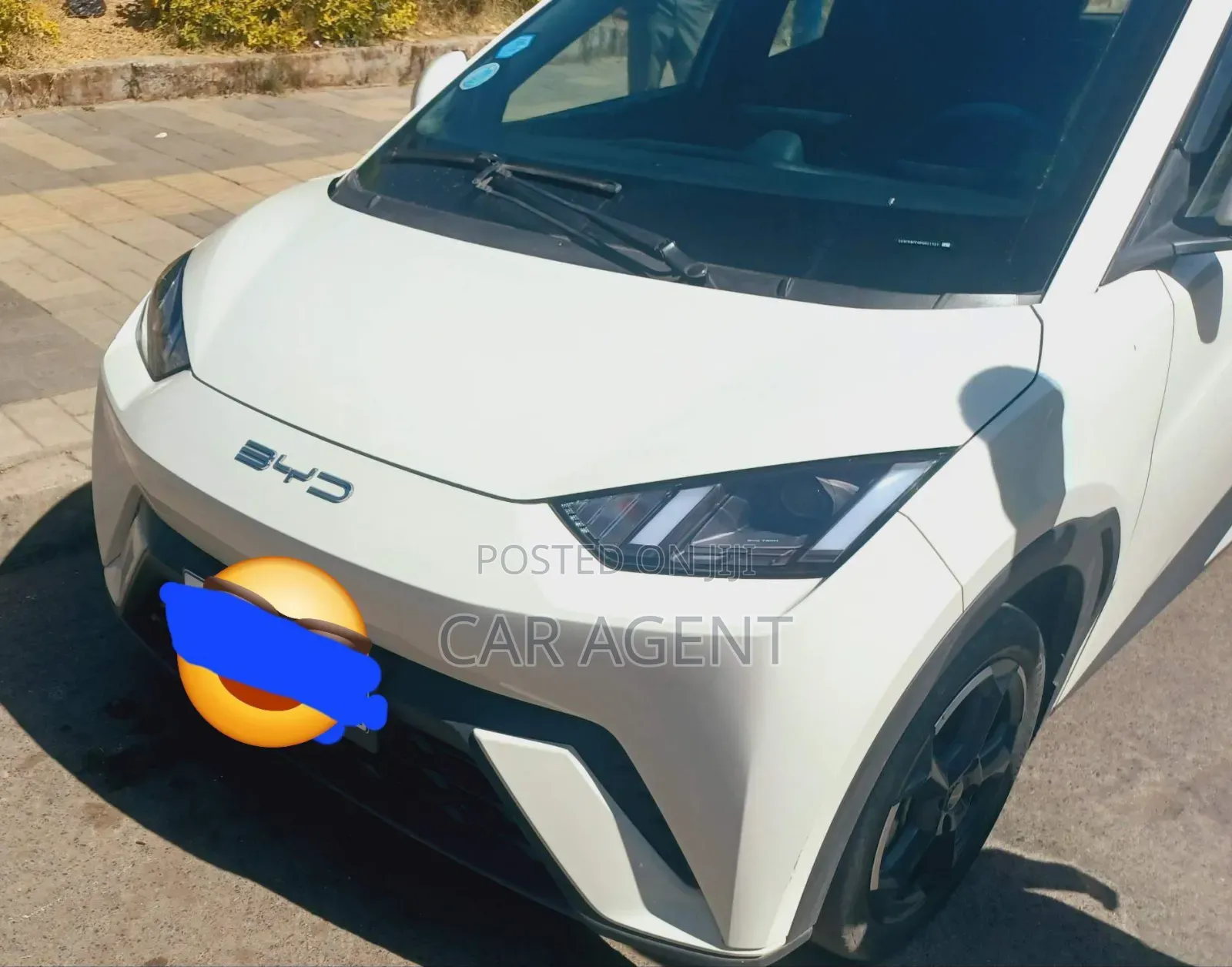 BYD Seagull 2024 Gray