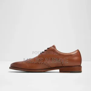 Aldo Orginal Men's Shoe's Canada