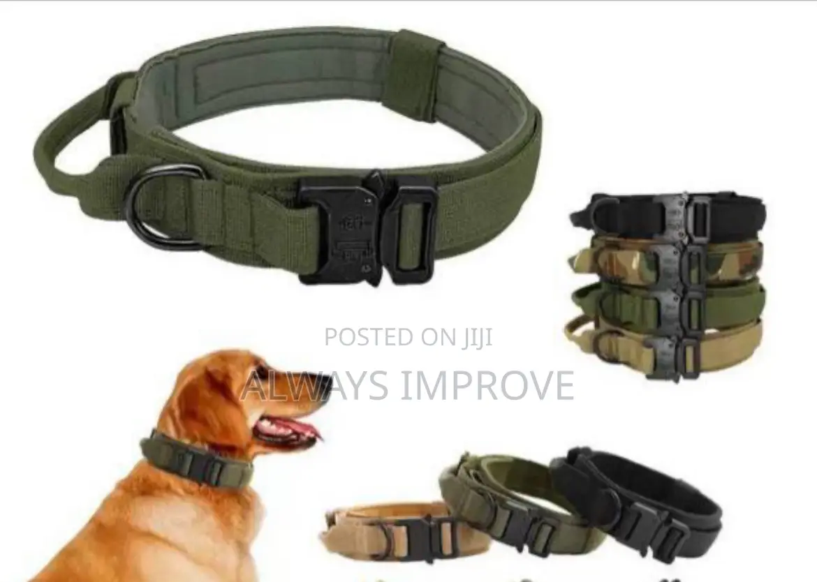 Dog Collar