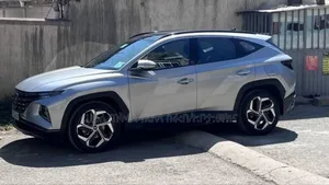 Hyundai Tucson 2021 Gray