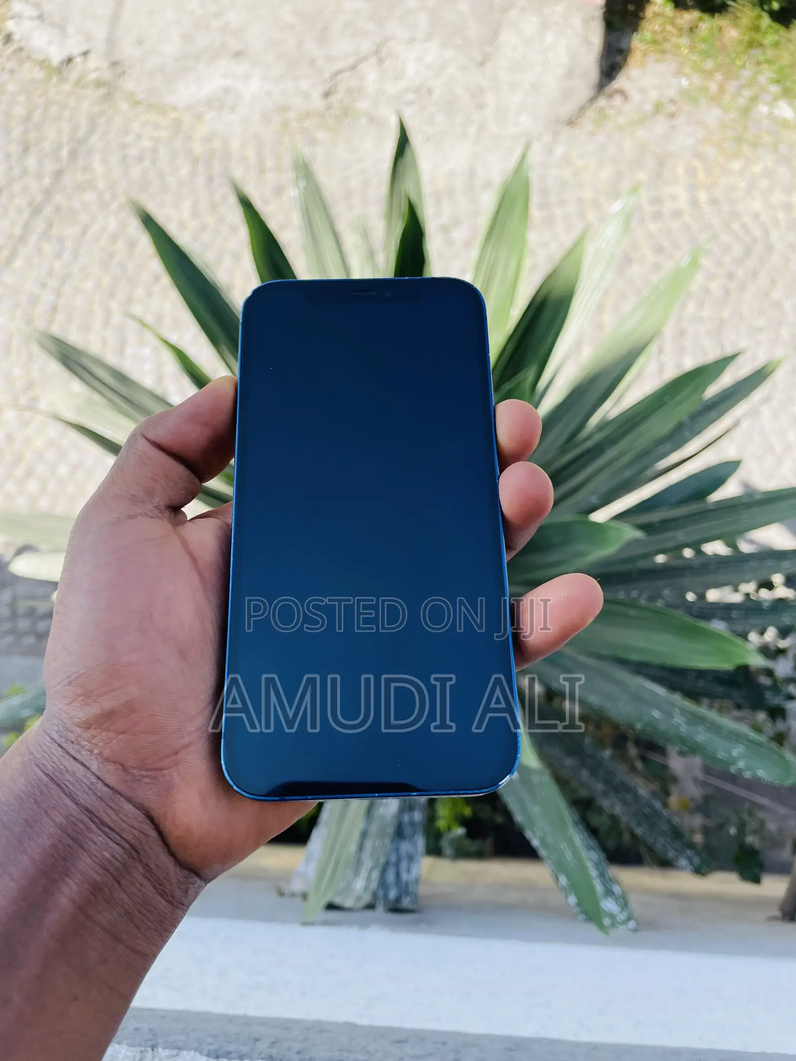 Apple iPhone 12 128 GB Blue