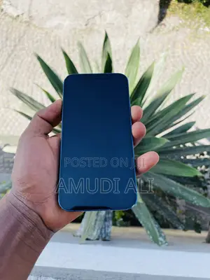 Apple iPhone 12 128 GB Blue