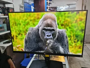 Photo - Lg Frameless Monitor