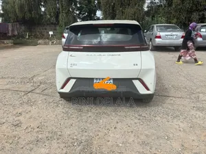 Photo - BYD Seagull 30 kWh FWD 2024 Ivory