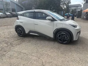 BYD Seagull 30 kWh FWD 2024 Ivory