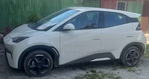 BYD Seagull 30 kWh FWD 2024 Ivory