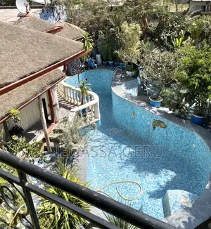 Photo - 5bdrm Mansion in Akaky Kaliti for sale