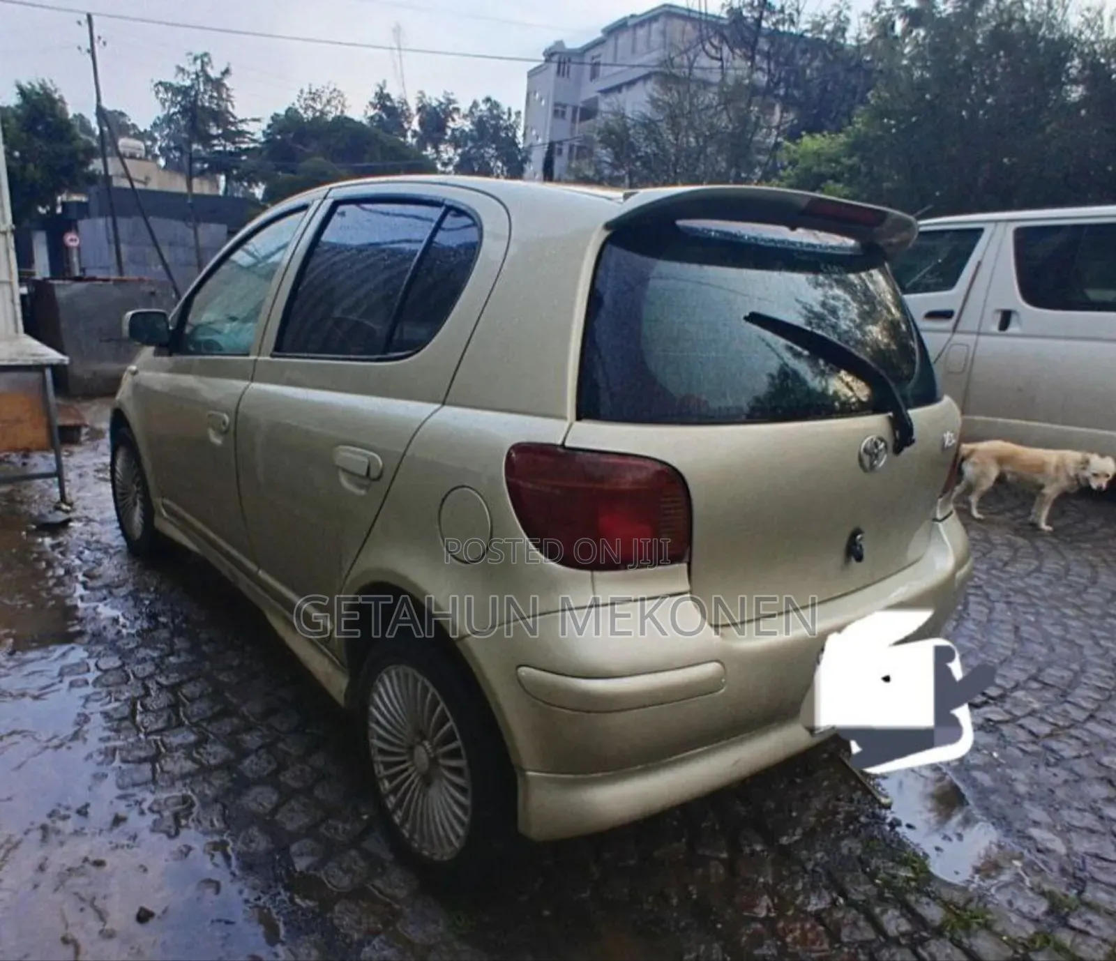 Toyota Vitz 2003 Gold