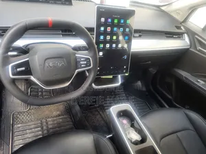 Hozon Neta Aya 2024 White