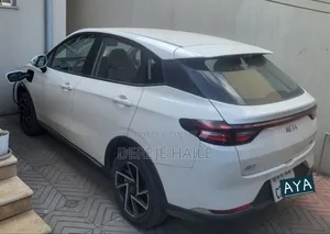 Hozon Neta Aya 2024 White