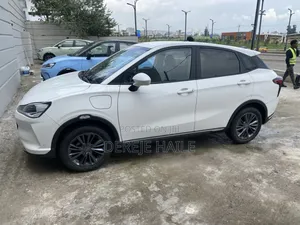 Hozon Neta Aya 2024 White