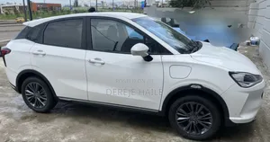 Hozon Neta Aya 2024 White