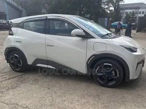 BYD Seagull 2023 Gray