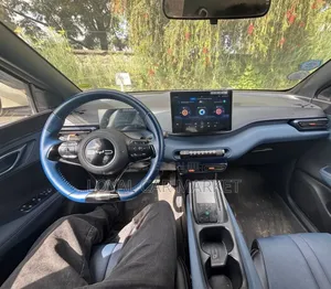 BYD Seagull 2023 Gray