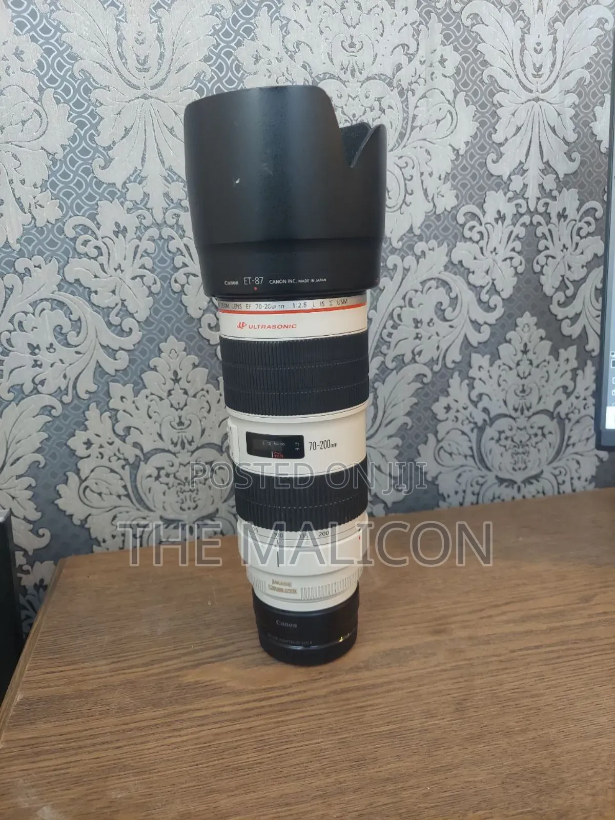 Canon Ef 70-200mm Usm Mii Lens( Zebra)