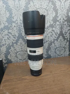 Canon Ef 70-200mm Usm Mii Lens( Zebra)