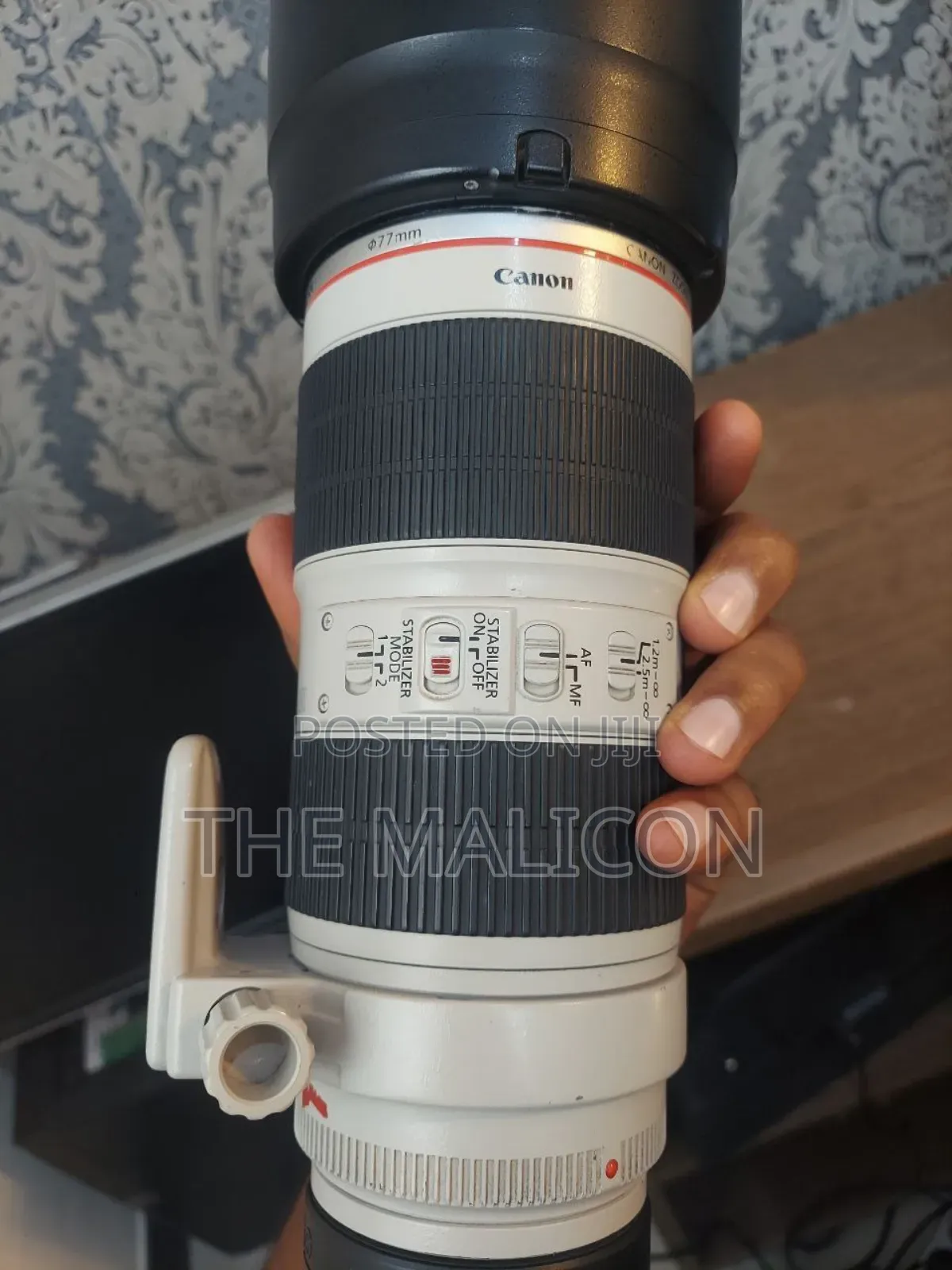 Canon Ef 70-200mm Usm Mii Lens( Zebra)