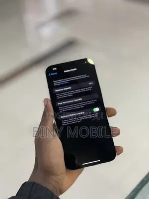 Apple iPhone 13 Pro Max 256 GB Gray